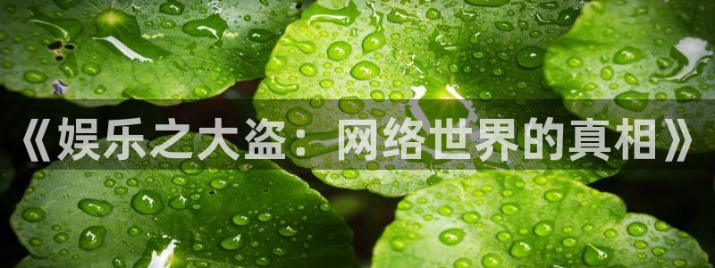 《娱乐之大盗：网络世界的真相》