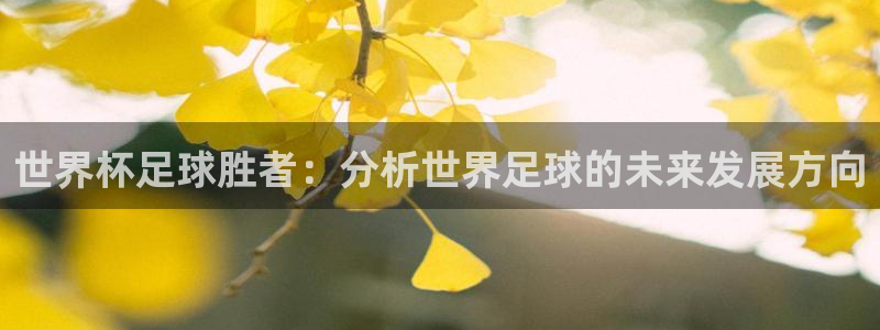 世界杯足球胜者：分析世界足球的未来发展方向