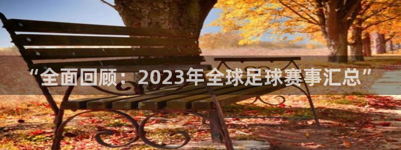 “全面回顾：2023年全球足球赛事汇总”