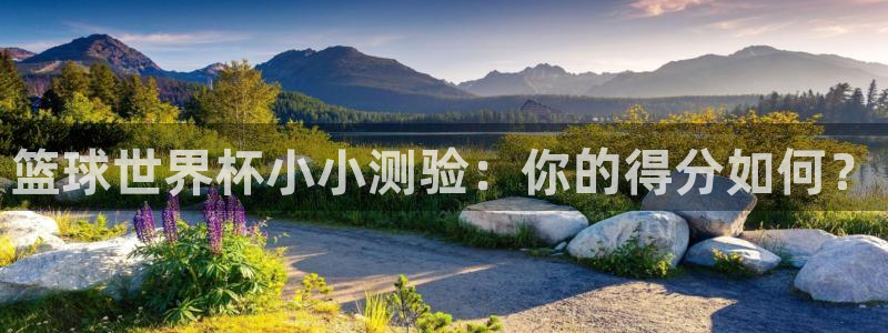 篮球世界杯小小测验：你的得分如何？