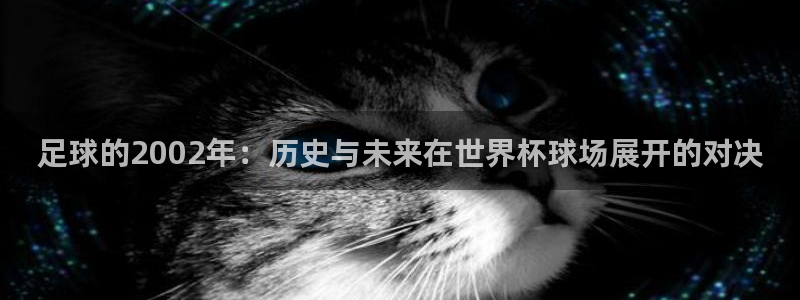 足球的2002年：历史与未来在世界杯球场展开的对决