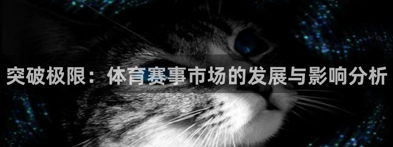 突破极限：体育赛事市场的发展与影响分析