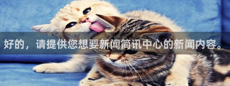 好的，请提供您想要新闻简讯中心的新闻内容。