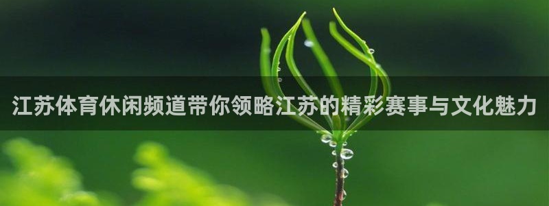 江苏体育休闲频道带你领略江苏的精彩赛事与文化魅力