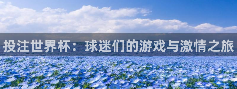 投注世界杯：球迷们的游戏与激情之旅