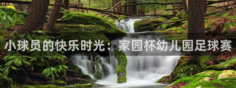 小球员的快乐时光：家园杯幼儿园足球赛