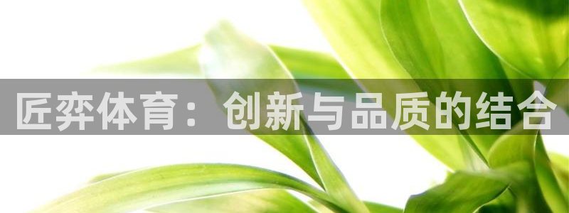 匠弈体育：创新与品质的结合