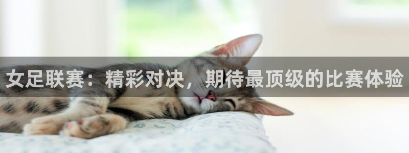 女足联赛：精彩对决，期待最顶级的比赛体验
