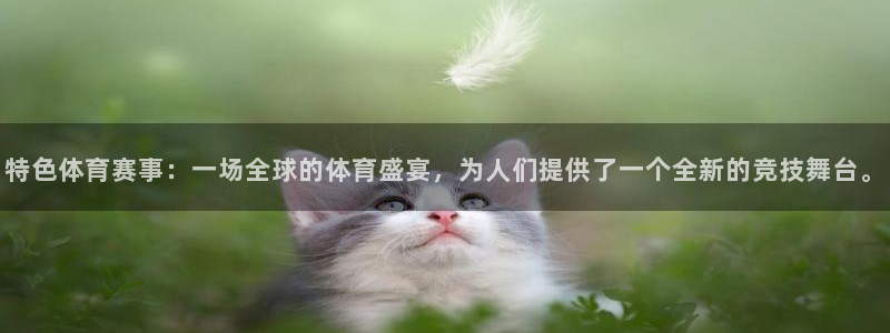 特色体育赛事：一场全球的体育盛宴，为人们提供了一个全新的竞技舞台。